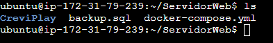 Copia de seguridad de la base de datos en el servidor web
