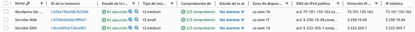 Instancia EC2 del servidor DNS
