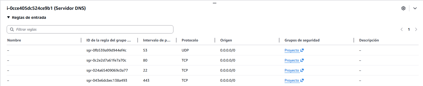 Reglas de entrada del Security Group del servidor DNS