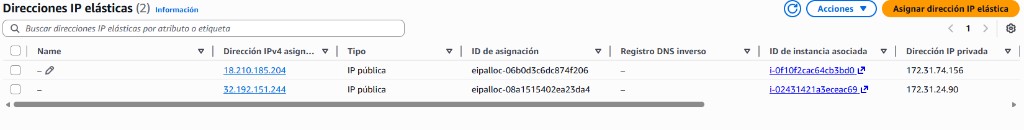 Direcciones IP elásticas asignadas